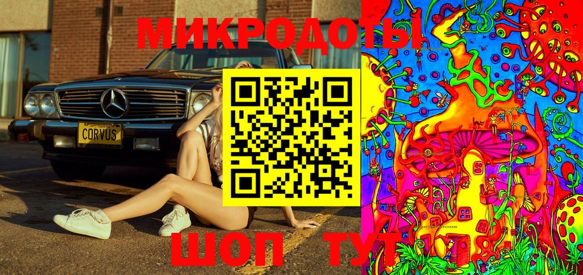 Качканар  Галлюциногенные грибы MAGIC MUSHROOMS  Вход с VPN  Галлюциногенные грибы прущие грибы 